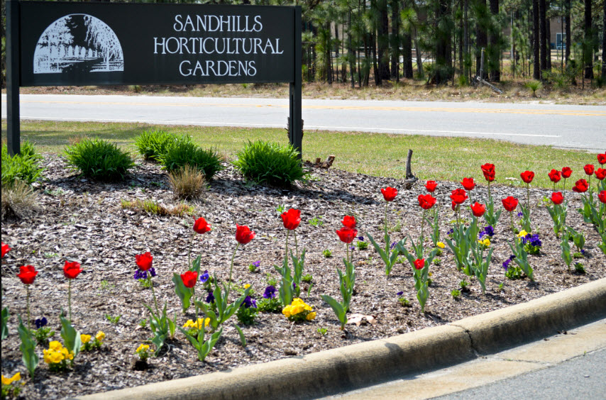 Sandhills Horticultural Gardens, United States